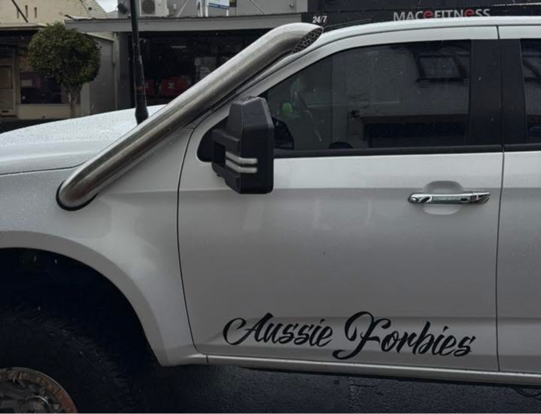 Isuzu DMAX Short-Entry Stainless Steel Snorkel